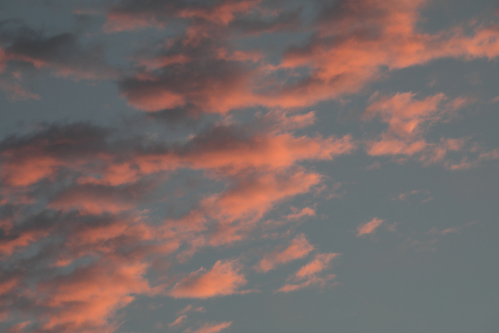 台風通過の朝(1)  181001-162