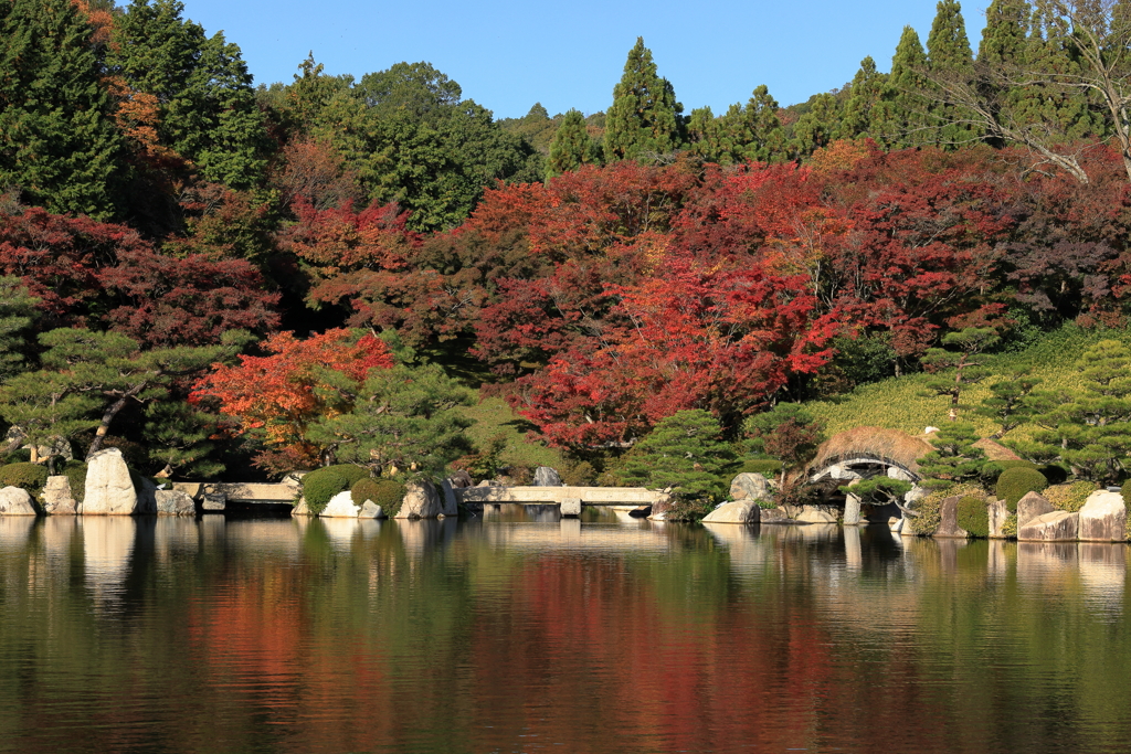 三景園 (2) 251110-035