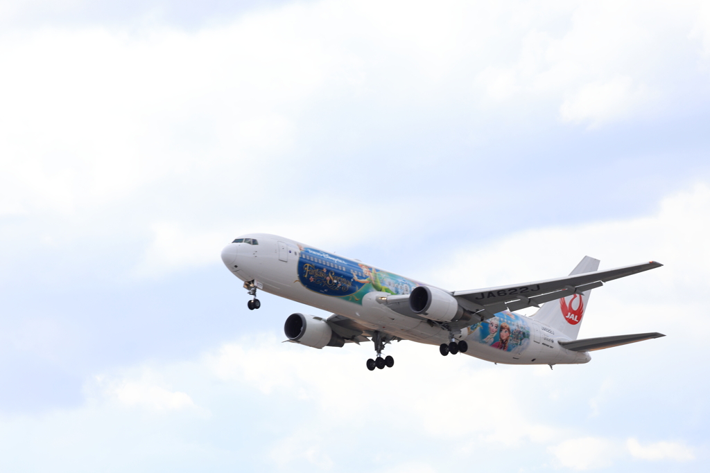 JAL 特別塗装機 (2) 250126-505
