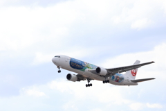 JAL 特別塗装機 (2) 250126-505