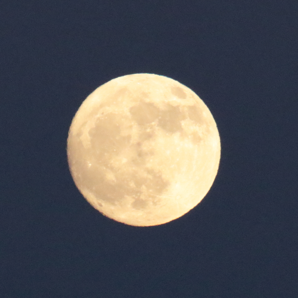 昨夜の月　181122-781