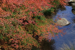 御調八幡宮 241122-289