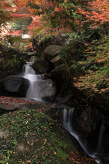 三郎の滝 (4) 241128-337