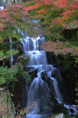 三景園 251110-045