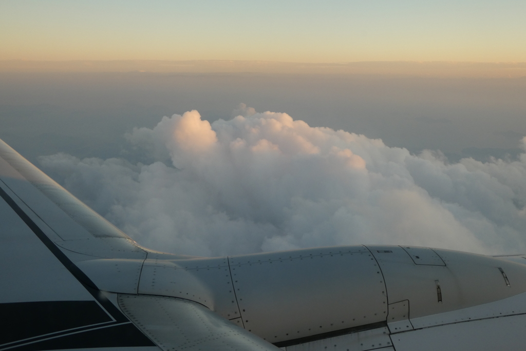 夕日に照らされて191029-542