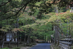 佛通寺(2) 171027-