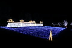 Winter Illumination(1) 16.11.11