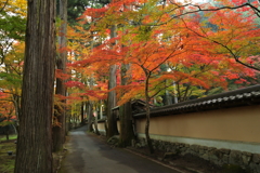 佛通寺（5) 16.11.16