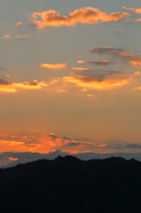 瀬戸内の朝 (3) 15.01.11