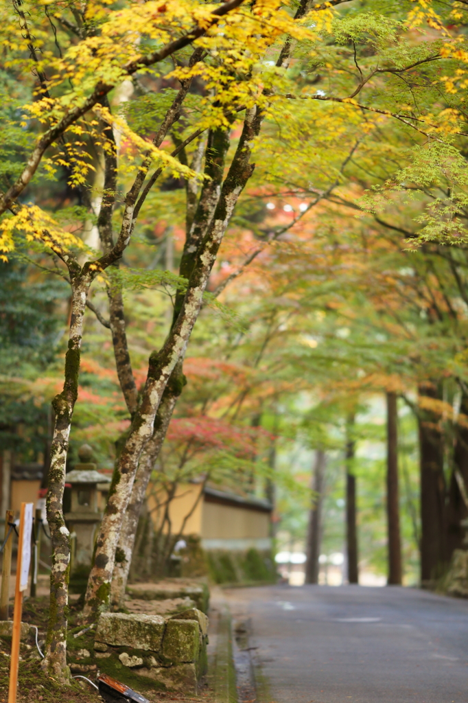 仏通寺(2013) No. 002(rev)