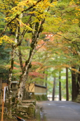 仏通寺(2013) No. 002(rev)