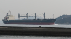 おおきいなあ～！！