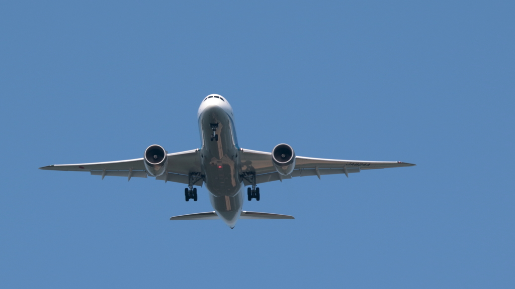 ANA 降下中(1)  190704-739