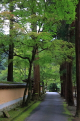 佛通寺 (2) 230912-897