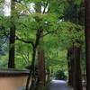 佛通寺 (2) 230912-897