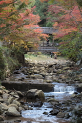 佛通寺(9) 191114-264