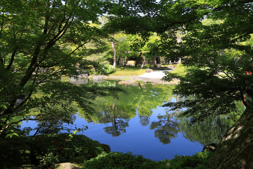 由志園にて(2) 190504-512