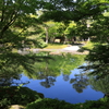 由志園にて(2) 190504-512