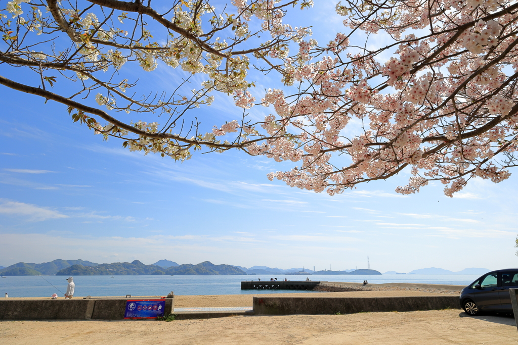 的場公園 (2) 240413-240