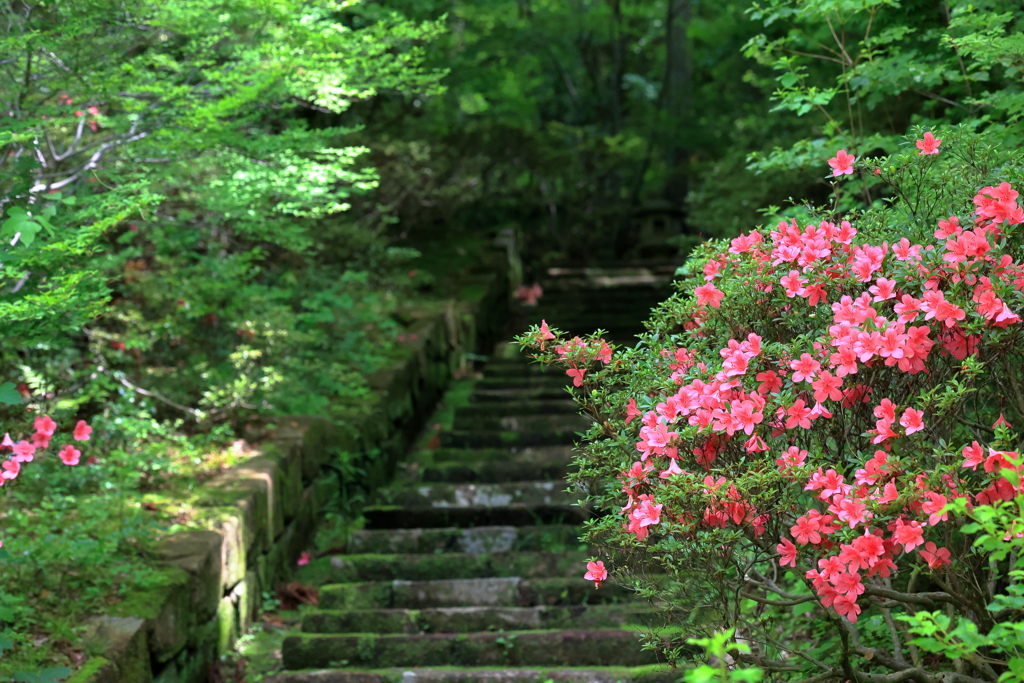 三景園 (7) 240611-523
