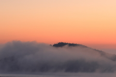 瀬戸内の海霧 (1) 251201-052