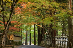 仏通寺