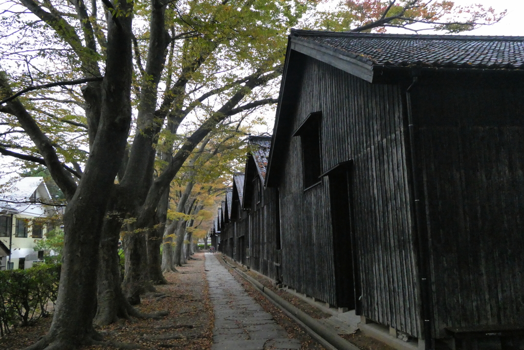 山居倉庫(1) 231028-535