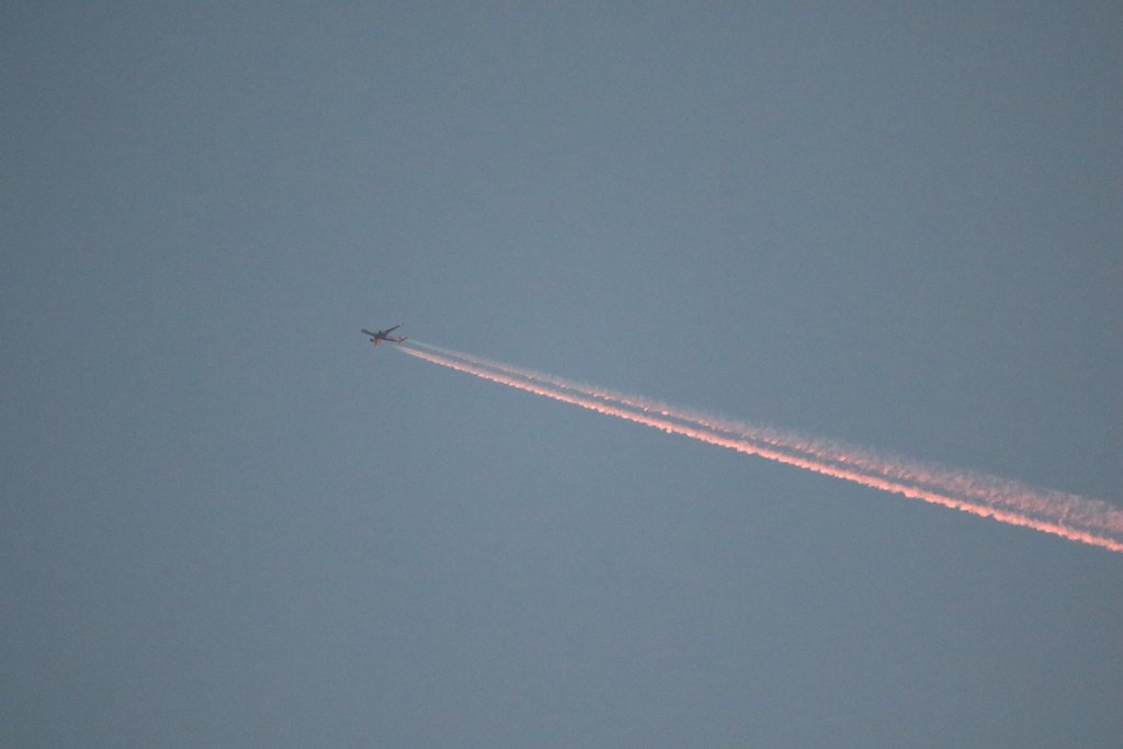 早朝の飛行機雲　190625-529