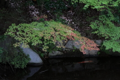 三景園 (3) 220908-713