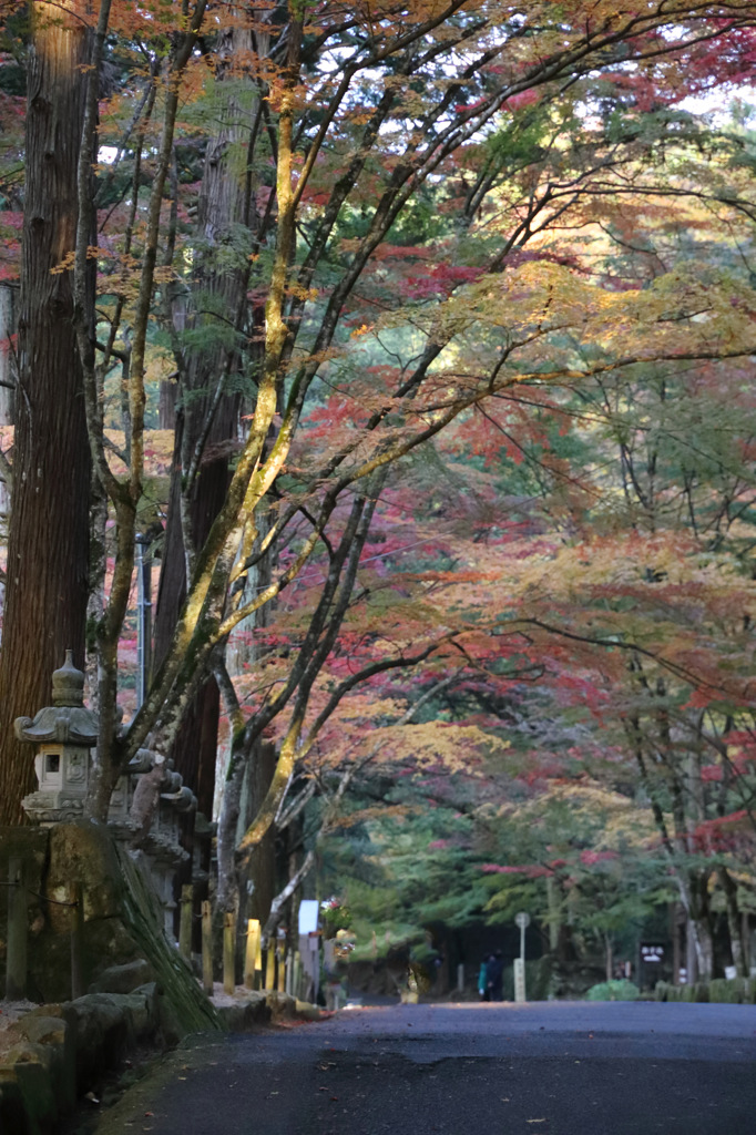 仏通寺 (8) 14.11.10