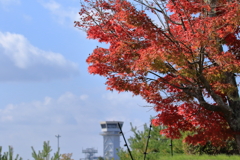 秋の管制塔　211105-919