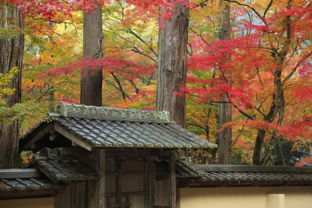 佛通寺(3) 16.11.16
