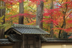 佛通寺(3) 16.11.16