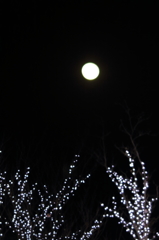 イルミネーションと月
