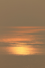 早朝の輝き　15.07.29