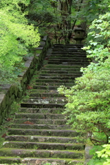 三景園 (2) 250522-073