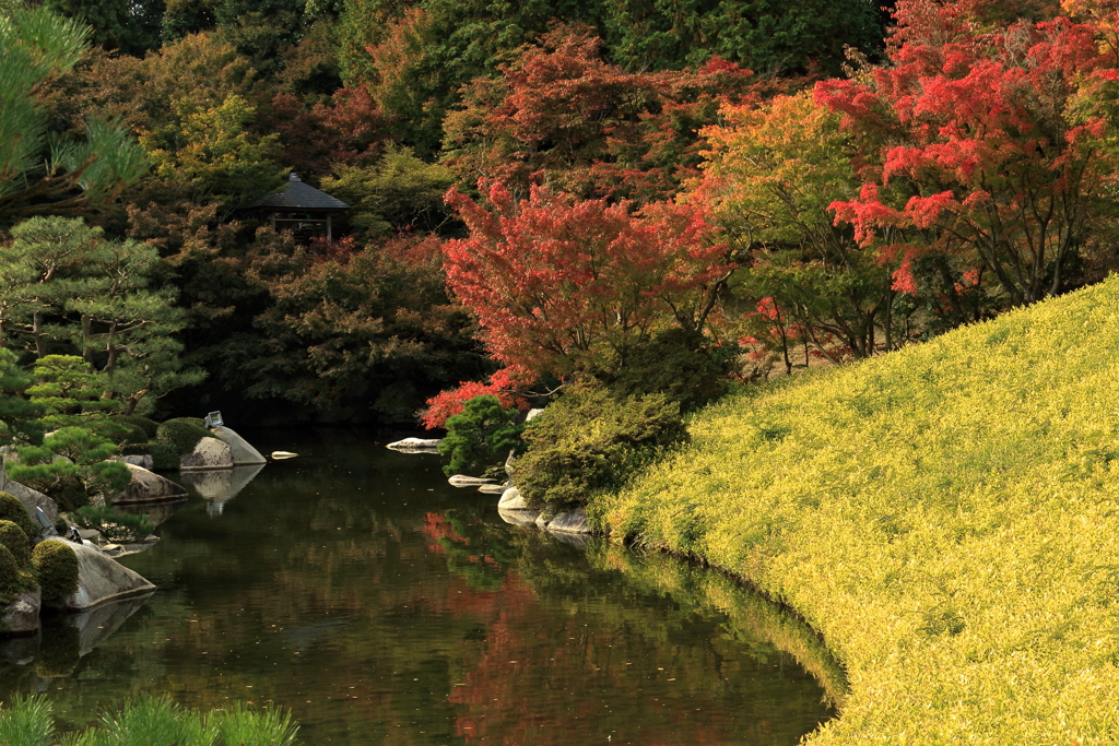 三景園(8) 201030-159