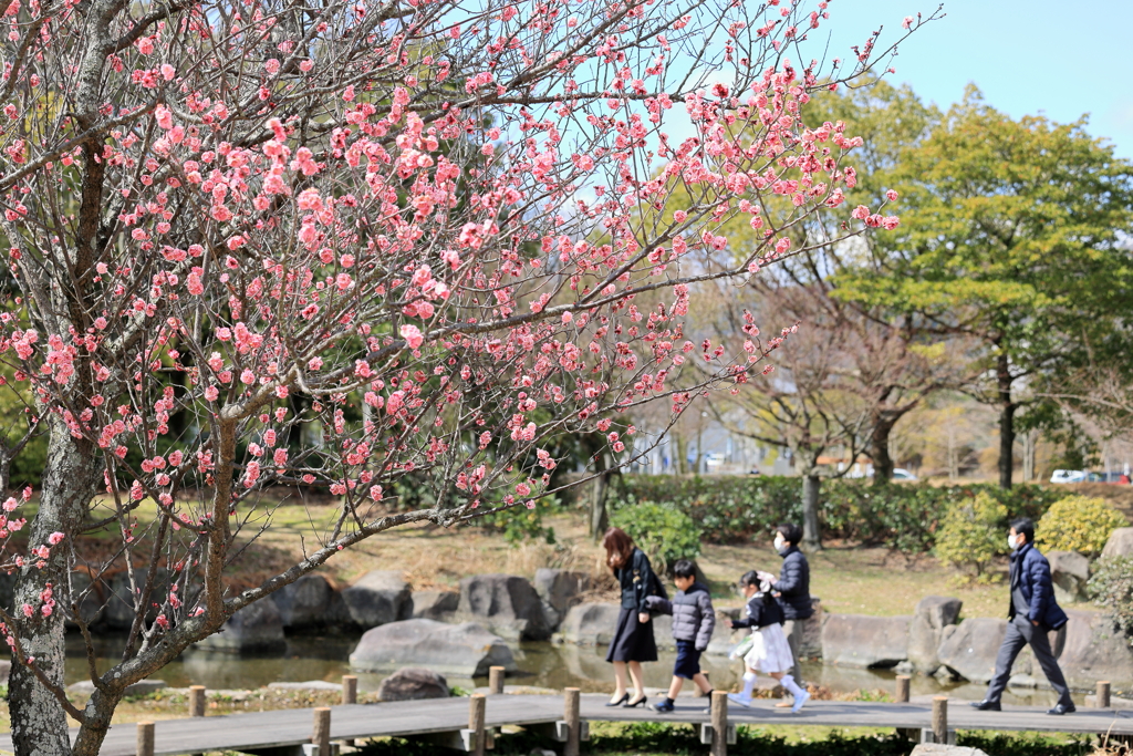 旅立ちの春 240309-797