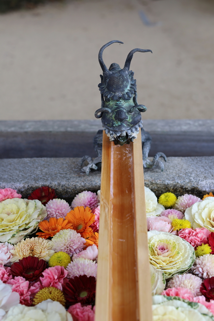 西宮神社(3) 220203-399