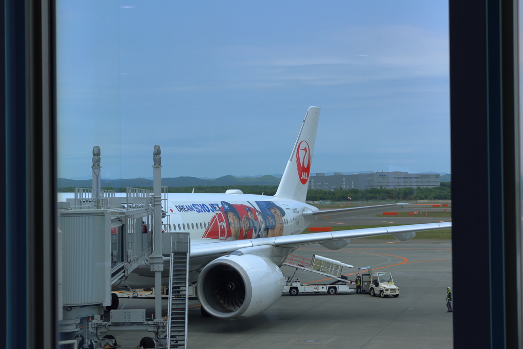 DREAM SHO JET  (3) 250602-8100