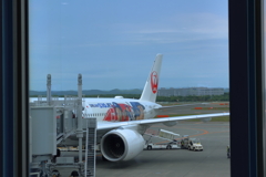 DREAM SHO JET  (3) 250602-8100