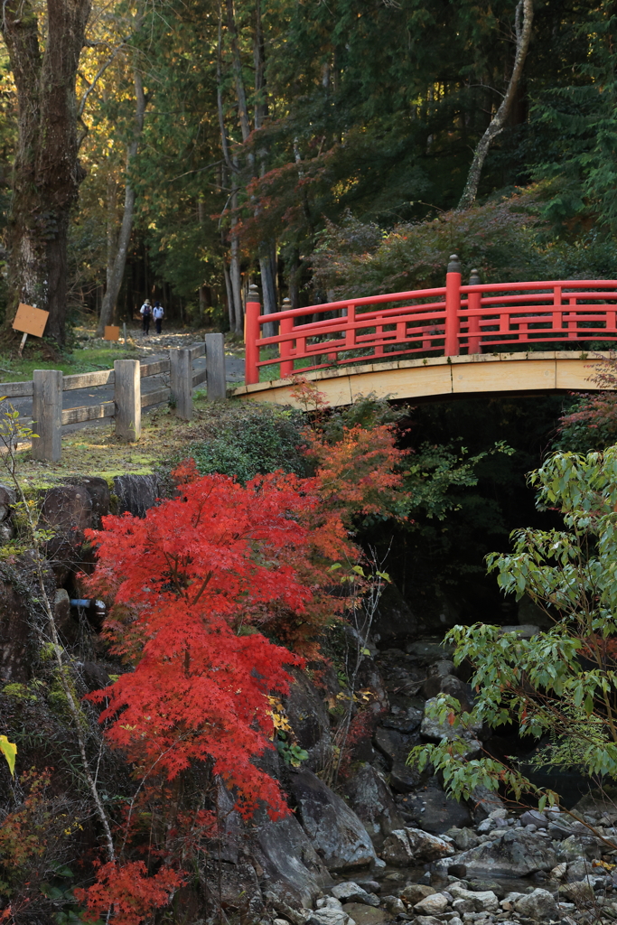 御調八幡宮 (3) 211107-357