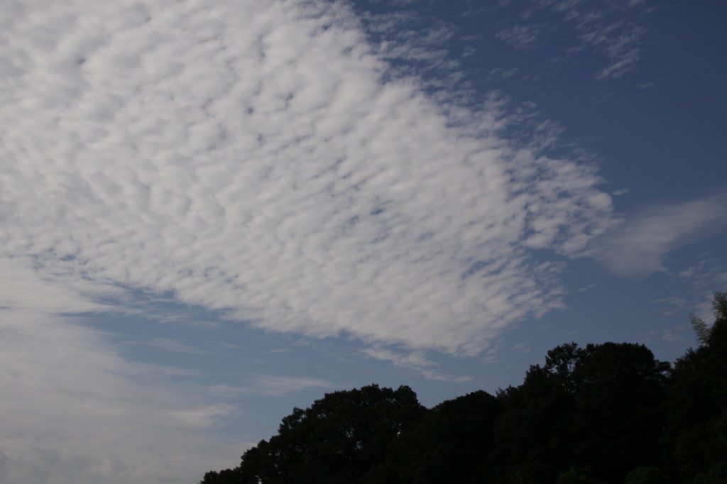 うろこ雲