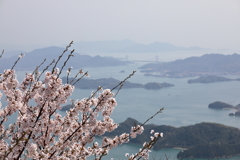 桜と瀬戸内海(1) 180402-913