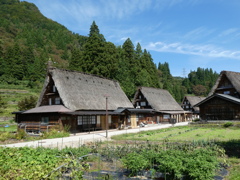 世界遺産の村、五箇山合掌集落(2)  191001-265