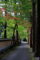 佛通寺 (2) 231006-4082