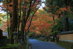 佛通寺(1) 211111-376