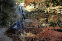 三郎の滝(1) 211119-433
