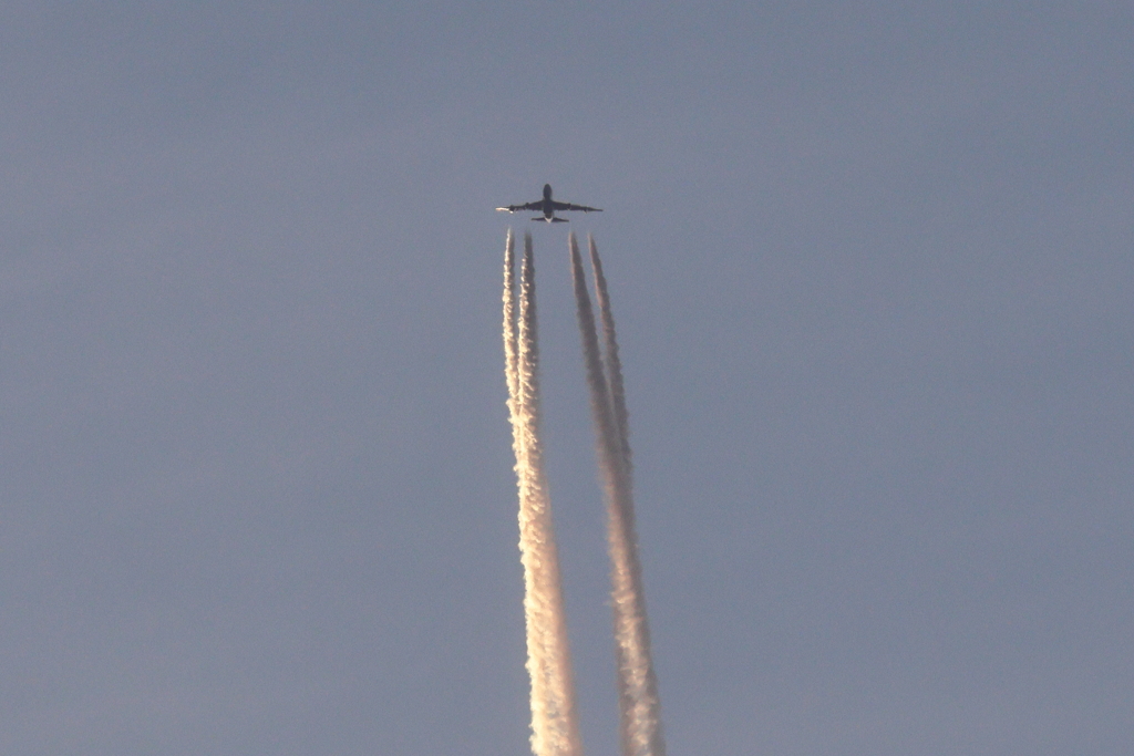 早朝の飛行機雲 (2) 250505-588