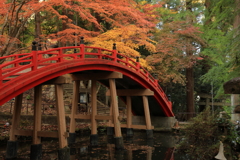 今高野山龍華寺 (14) 251121-254